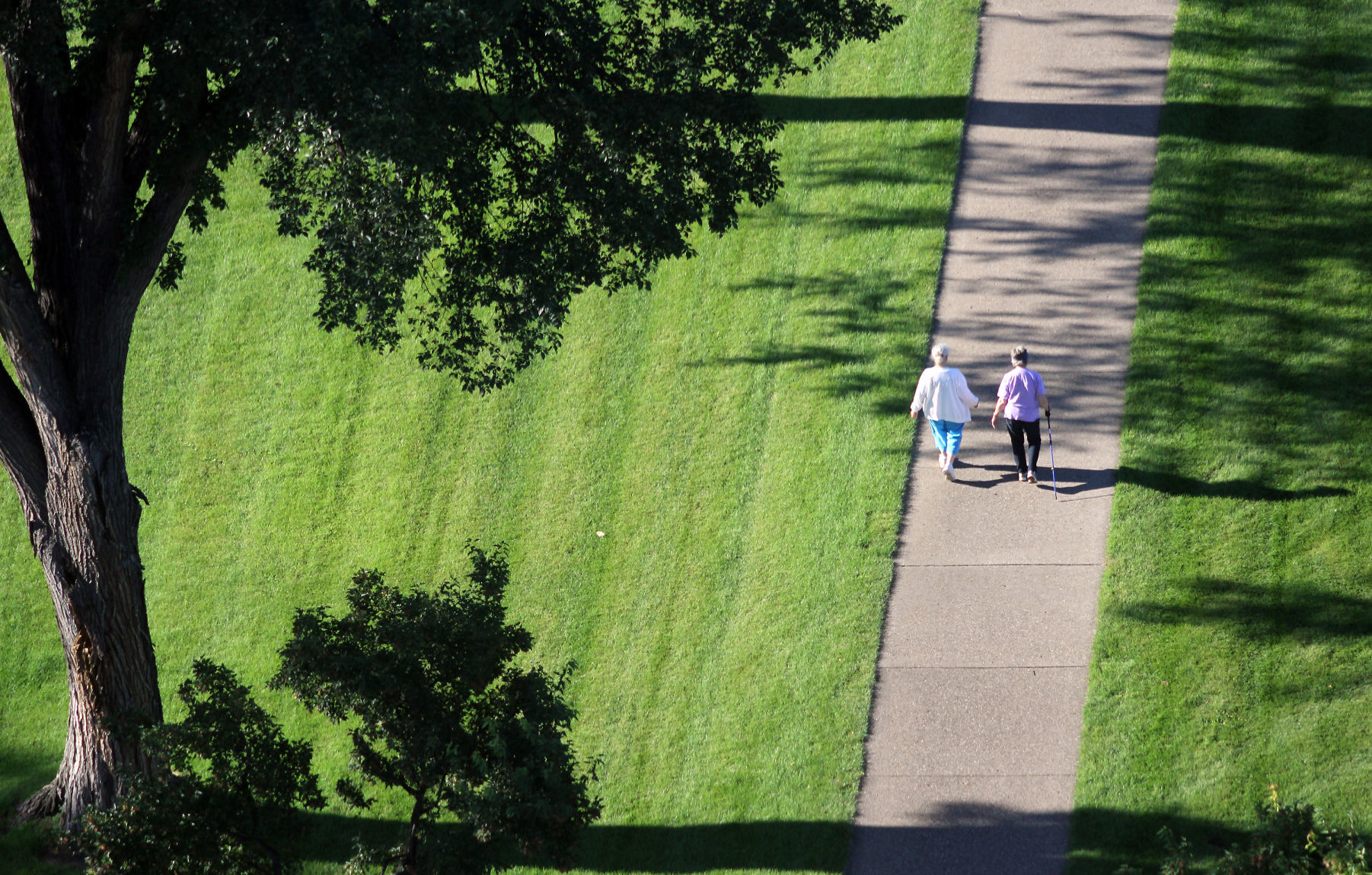 A MORNING STROLL